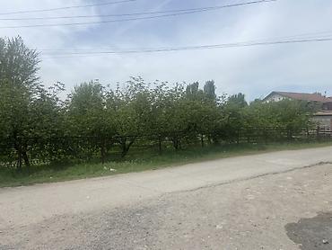 Кыймылсыз мүлк: 6 соток, Курулуш, Кызыл китеп — 7