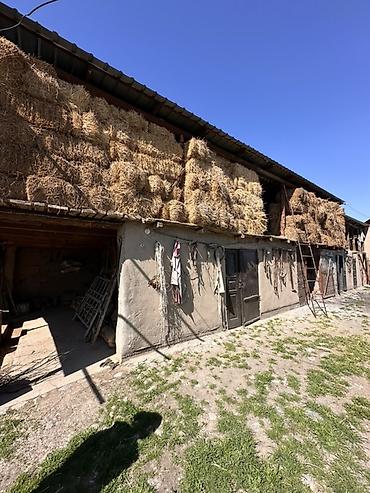 Продажа коттеджей и домов: 📍В Гавриловке от трассы 800 м продается дом на участке 19 соток, 77 — 10