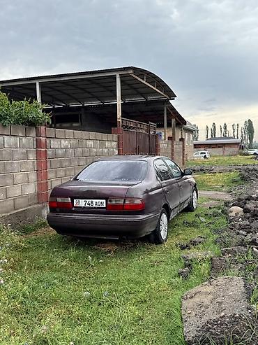 тоуота карина е: Toyota Carina E: 1992 г., 1.6 л, Механика, Бензин, Седан — 3