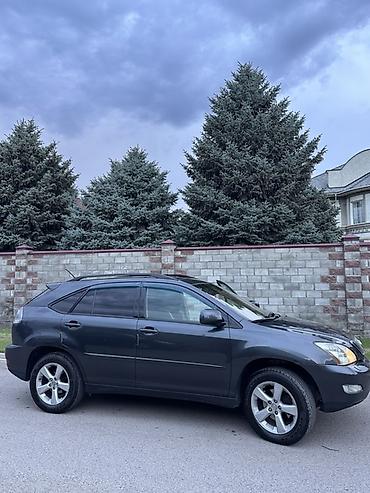 nx 300 2020: Lexus RX: 2004 г., 3.3 л, Автомат, Бензин, Кроссовер — 6