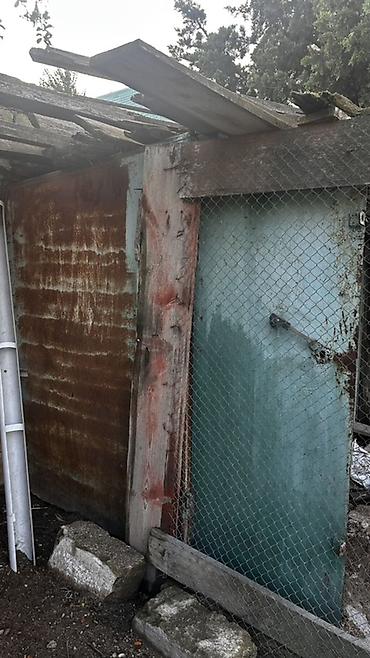 yuvalar: Məhsul: Taxta və metal konstruksiyalı quşxana/kümes Təsvir: - — 2