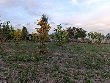 Продажа участков: 6 соток, Для строительства, Красная книга, Договор купли-продажи — 8