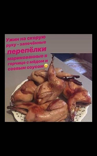 А/ч жаныбарлары үчүн тоюттар: Продаю суточных перепелят Техас в основным и Финикс — 5