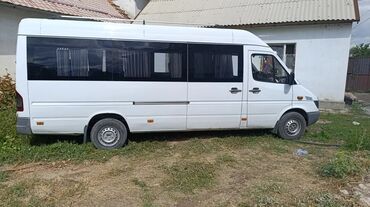 спиринтер делфин: Mercedes-Benz Sprinter: 2003 г., 2.2 л, Механика, Дизель