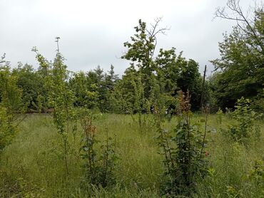 Torpaq sahələrinin satışı: 6 sot, Tikinti, Barter mümkündür, Kupça (Çıxarış) -da lalafo.az — 7 Torpaq sahələrinin satışı: 6 sot, Tikinti, Barter mümkündür, Kupça (Çıxarış) — 7