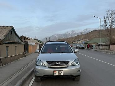 385 55: Lexus RX: 2004 г., 3.3 л, Автомат, Бензин, Кроссовер — 2