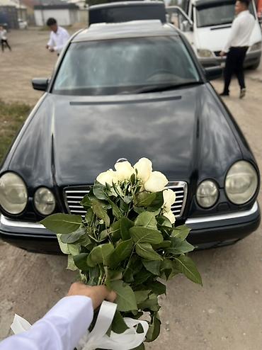 byd e1: Mercedes-Benz E-Class: 1999 г., 4.3 л, Автомат, Бензин, Седан — 2