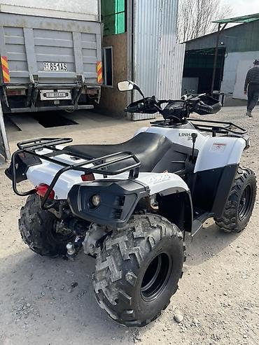 Квадроциклы: Квадроцикл Linhai 300 (4x4) - Мощный утилитарный ATV с полным — 8