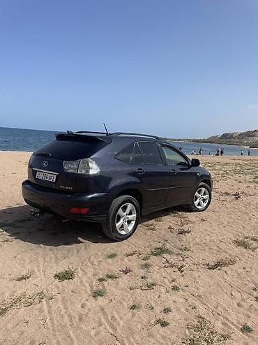 Lexus: Lexus RX: 2005 г., Кроссовер — 10