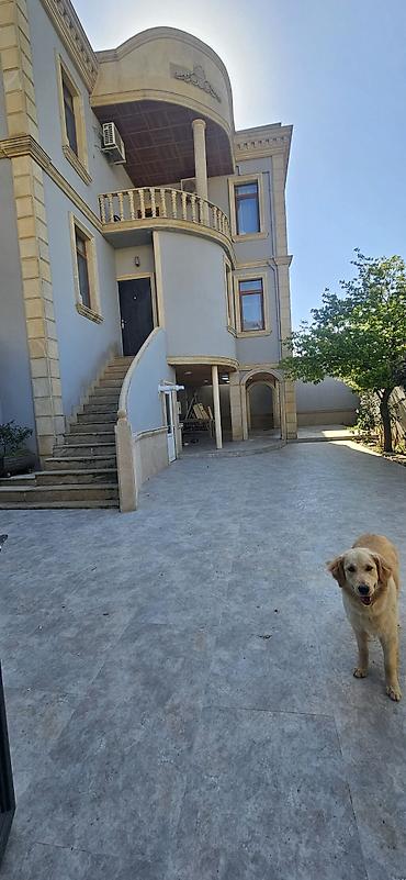badamdar: Badamdar qəs. 7 otaqlı, 270 kv. m, Kredit yoxdur, Yeni təmirli — 8