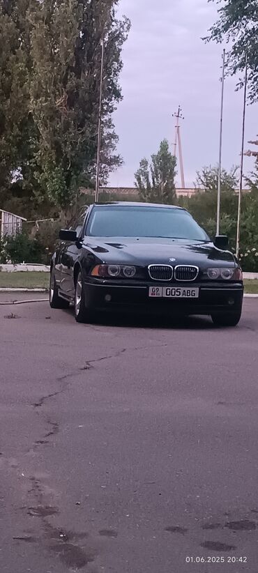 BMW: BMW 5 series: 2002 г., 2.5 л, Механика, Бензин, Седан — 7