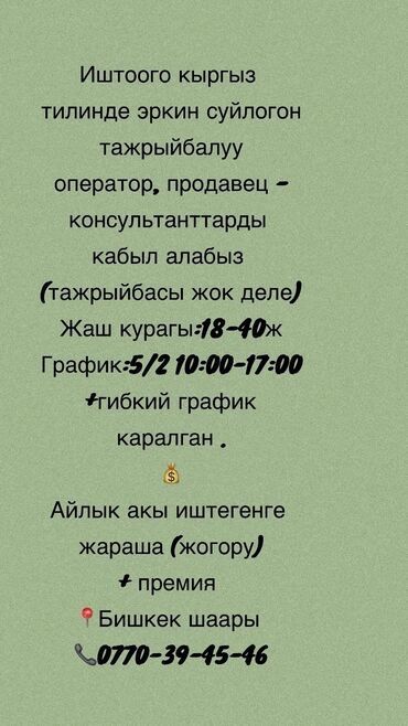 работа в бишкеке продавец консультант: Требуется Продавец-консультант График: Пятидневка, Карьерный рост, Полный рабочий день