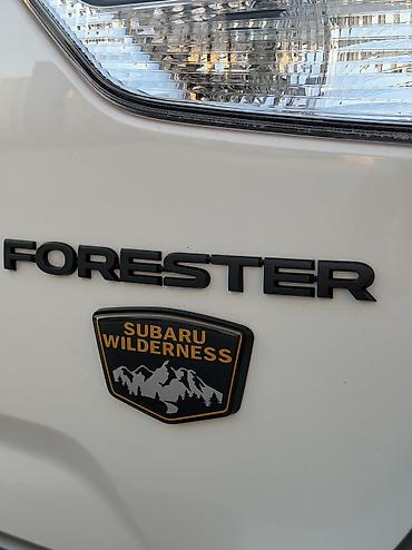 wilderness: Subaru Forester: 2022 г., 2.5 л, Автомат, Бензин, Внедорожник — 8