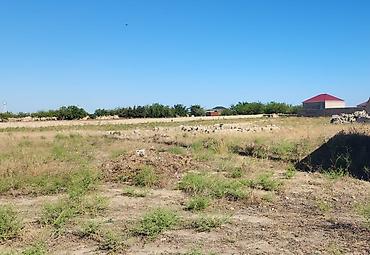 20 соток, Для сельского хозяйства at lalafo.az — 2 20 соток, Для сельского хозяйства — 2