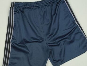 koszulka wisla plock: Shorts for men, M (EU 38), condition - Very good