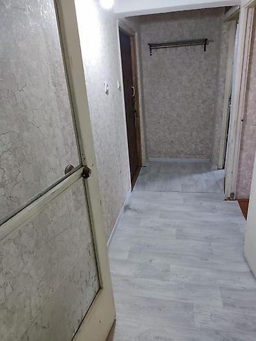 Долгосрочная аренда квартир: 2 комнаты — 5