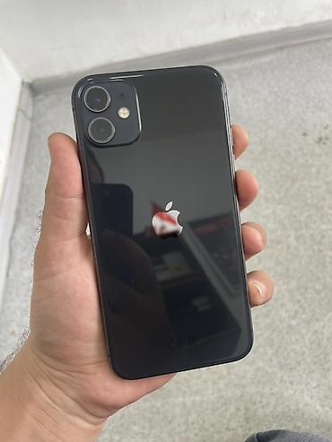 IPhone 12 mini, Qara