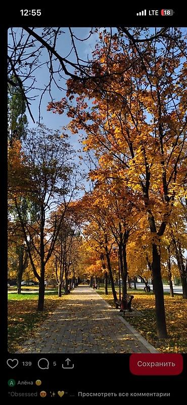 подар: 🏡 ЖЕР САТЫЛАТ! 📍 Жайгашкан жери: Чок-Тал айылы 📏 Аянты: 6 сотых 🌊 — 1