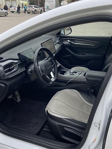 BYD: BYD Destroyer 05: 1.5 l | 2024 il 50000 km Sedan — 9