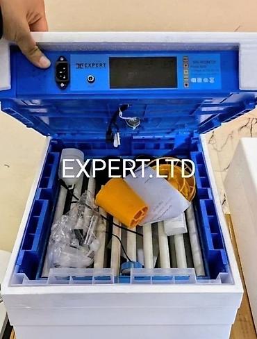 inkubator cucesi: 100 yumurta, Çin, Fabrik istehsalı, Tam avtomat, Bütün növ quşlar üçün — 3