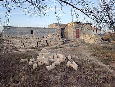 saray torpag: 12 sot, Mülkiyyətçi — 1