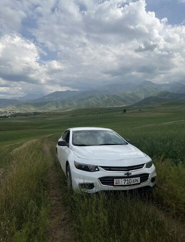 моторное масло бишкек цена: Chevrolet Malibu: 2017 г., 1.5 л, Автоматтык, Бензин, Седан