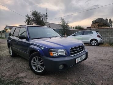 я ищу машину: Subaru Forester: 2002 г., 2.5 л, Механика, Бензин, Кроссовер