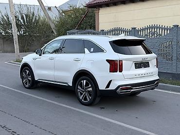 drift car: Kia Sorento: 2022 г., 1.6 л, Автомат, Гибрид, Внедорожник — 6