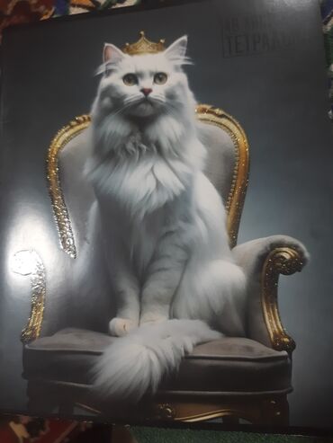 флипчарты магнитно маркерная пробковая двусторонние: 💎✨️💎✨️💎 ✨️ Идеальная тетрадь для школы или в подарок! 📔 Тетрадь