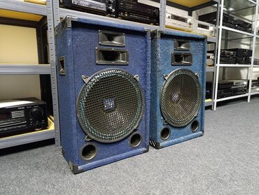 Zvučnici i stereo sistemi: Raveland MEGA series X 1538 razglasi trosistemci sa basevima od 15 — 5