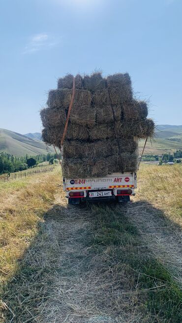 Услуги портера: Заказать Хендай портер, Другие опции — 8