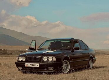 бензо касилка: BMW 5 series: 1991 г., 2.5 л, Механика, Бензин