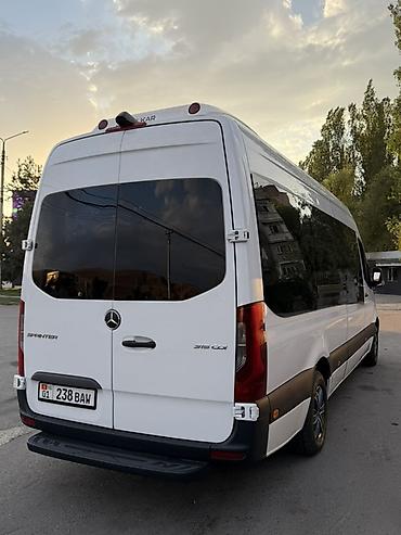 прокат колясок: Mercedes‑Benz Sprinter (длинная база, высокий потолок), белый цвет — 6