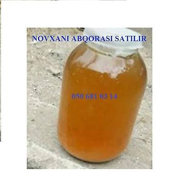 sumqayit gul sifarisi: Abqora satılır.Novxanı bagda hazırlanıb təmizdir — 1