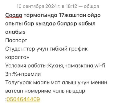 биндеры 1000 листов с металлическим корпусом: Продавец-консультант