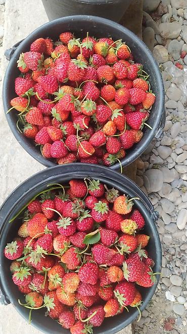 Клубника: Клубника — 4