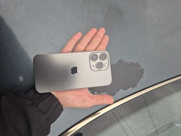 pol basavik: IPhone 13 Pro, Графит, Face ID
