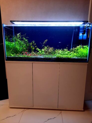 Ovçuluq və balıqçılıq: Akvarium,şkaf və digər avadanlıqlar satılır.Bitki üçün qrunt Propant — 14