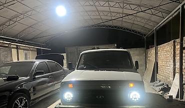 нива зеркало: ВАЗ (ЛАДА) 4x4 Нива: 2006 г., 1.7 л, Механика, Бензин, Внедорожник — 2