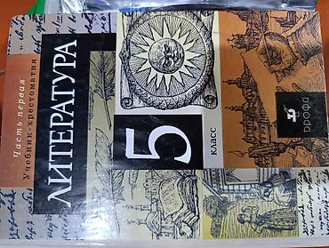 Русский язык и литература: Русская литература, 5 класс, Б/у, Самовывоз — 2