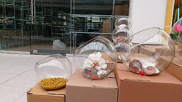 Akvariumlar: Akvarium İstənilən növdə, ölçüdə yumru akvariumlar, terrariumlar — 4