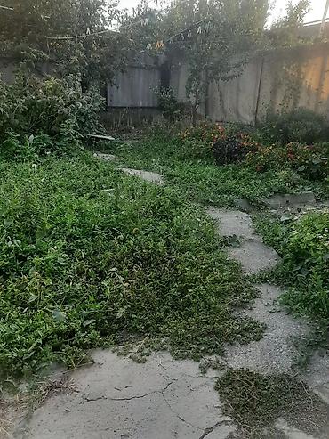 Продажа коттеджей и домов: Продаётся жилой дом - Одноэтажный дом с отдельным входом — 16