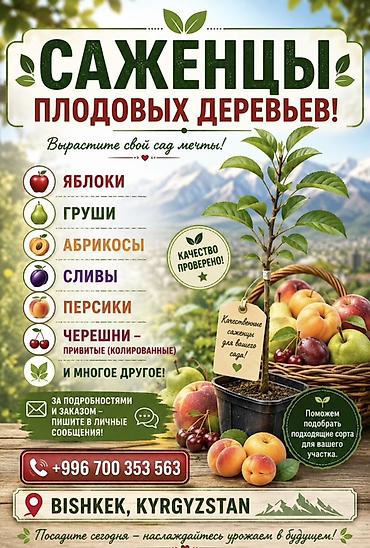 для фрукты: 🌱🍎 КАЛИРОВАННЫЕ САЖЕНЦЫ ПЛОДОВЫХ ДЕРЕВЬЕВ В ПРОДАЖЕ! 🍎🌱 Мечтаете о — 1
