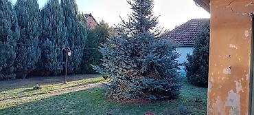 Kuće na prodaju: Kuća na produju — 6