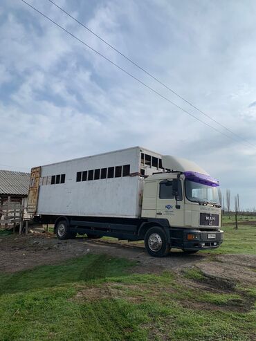 Грузовики: Грузовик, MAN, Стандарт, 7 т, Б/у