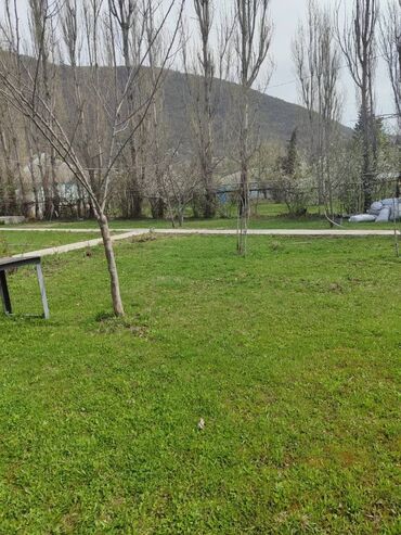 Günlük kirayə mənzillər: 2 otaqlı — 4