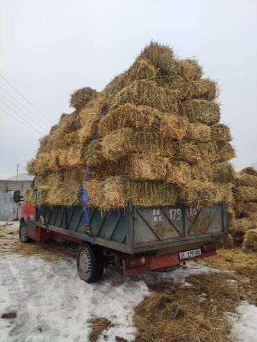 Корма для с/х животных: Беде чоп аралаш доставка