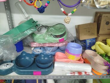 Аквариумы: Предлагается набор маленьких красноухих черепах. Эти черепахи отлично — 10