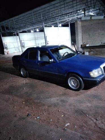 Mercedes-Benz: Mercedes-Benz W124: 1988 г., 2.9 л, Механика, Дизель, Седан