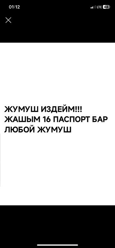 Башка адистиктер: Жумуш издейм - Студент, Тажрыйбасыз — 1